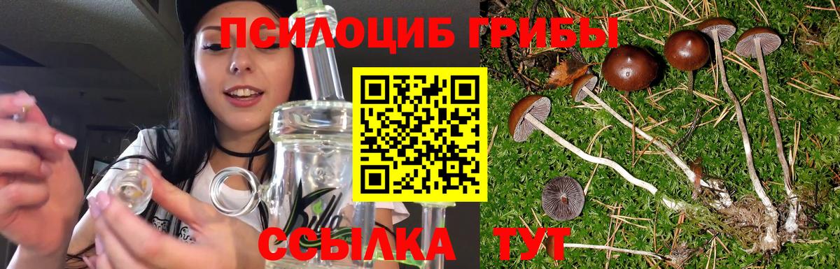 Галлюциногенные грибы мухоморы Усть-Лабинск