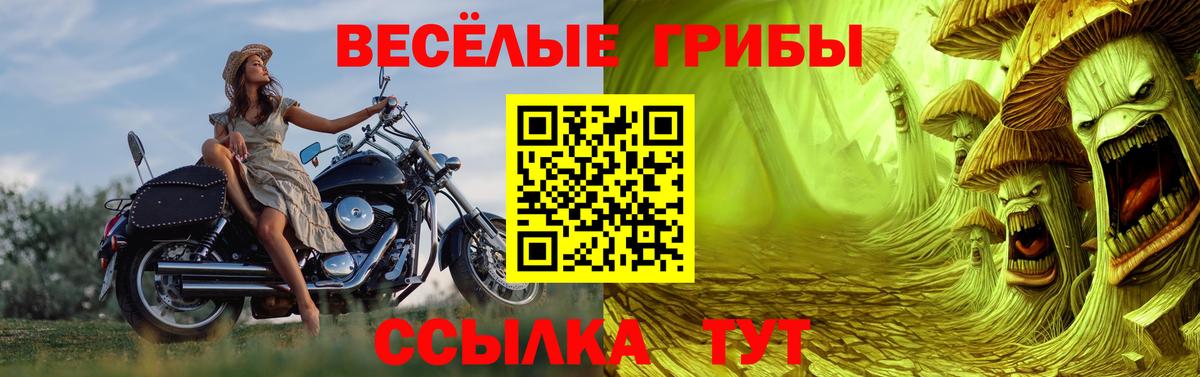 Усть-Лабинск  Псилоцибиновые грибы мицелий  где купить наркоту  Псилоцибиновые грибы GOLDEN TEACHER  Вход с VPN 